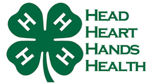 Farmington NH 4H Club